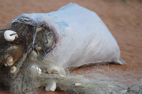 Prefeitura De Maca Realiza Nova A O De Combate Pesca Predat Ria Na