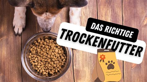 Bestes Hundefutter So Finden Sie Heraus Was Für Ihren Hund Richtig