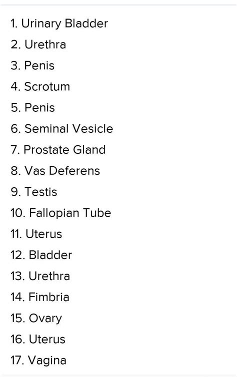 Learning Task 6 Label The Parts Of The Male And Female Reproductive System Draw Both Pictures