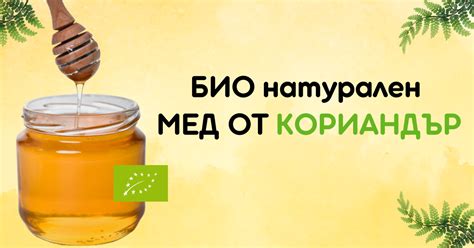 Био мед от кориандър - ползи и цени | Истински мед