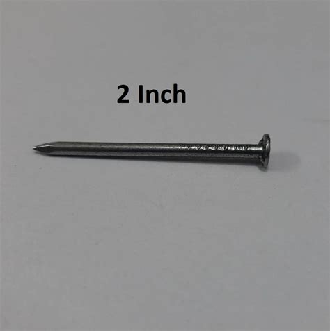 2 Inch Mild Steel Wire Nail Head Diameter 1 Mm Gauge 10 Gauge At