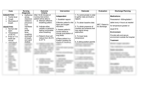 Solution Nursing Care Plan On Pneumonia Studypool