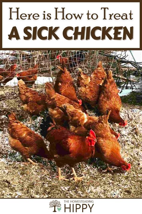 Can Room Temperature Chicken Make You Sick at Mark Fletcher blog