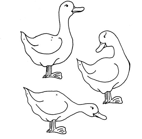 Coloriage Canard 19 Coloriage En Ligne Gratuit Pour Enfant