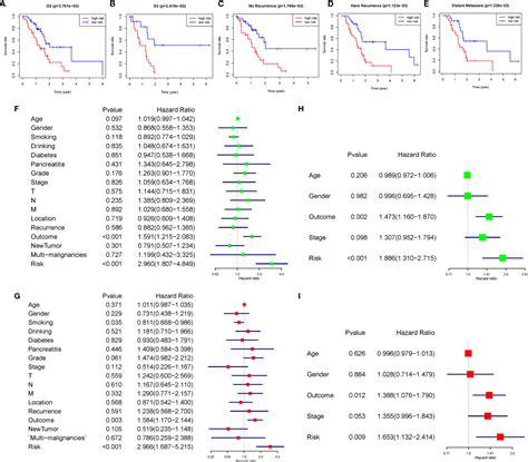 Frontiers Aerial View Of The Association Between M6a Related Lncrnas