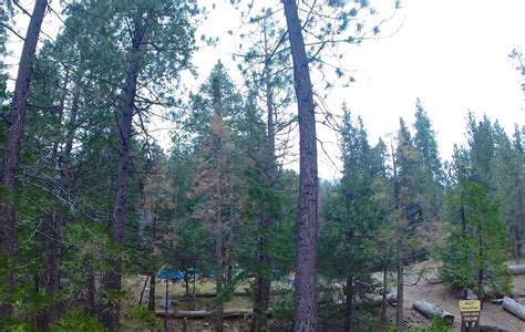 Coming Into Cooper Canyon Trail Camp A Large Area With Great Amenities