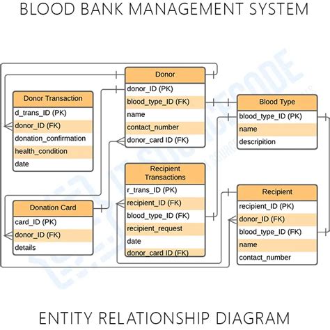 Blood Bank Management System Er Diagram Er Diagram Of Blood