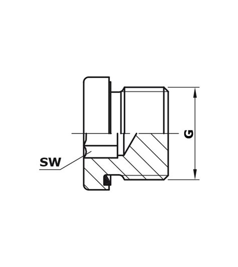 Blanking Plug For Ports Dvsm M14 Hydraulic Shop
