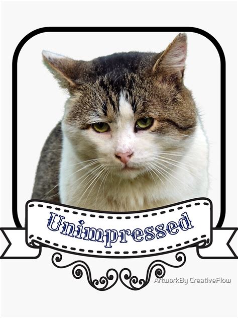 Extremely Unimpressed Kitten Grumpy Cat Sticker For Sale By