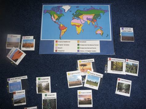 Biomes Map For Kids