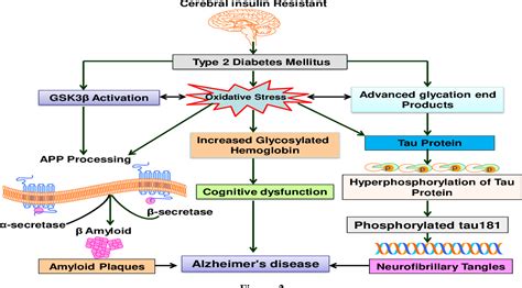 Figure From The Molecular Mechanism Of Insulin Resistant And Glycogen