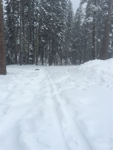 Two Roads Diverged In A Wood