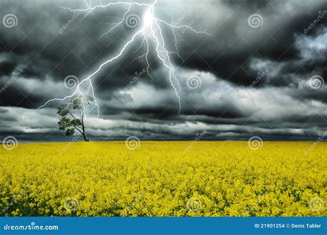 Thunderstorm Stock Photo Image Of Cloudly Green Plant 21901254