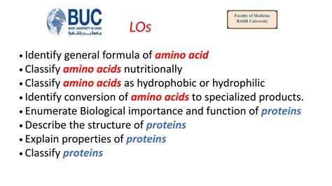 SOLUTION Amino Acid Chemistry 2023 2024 80918 Studypool