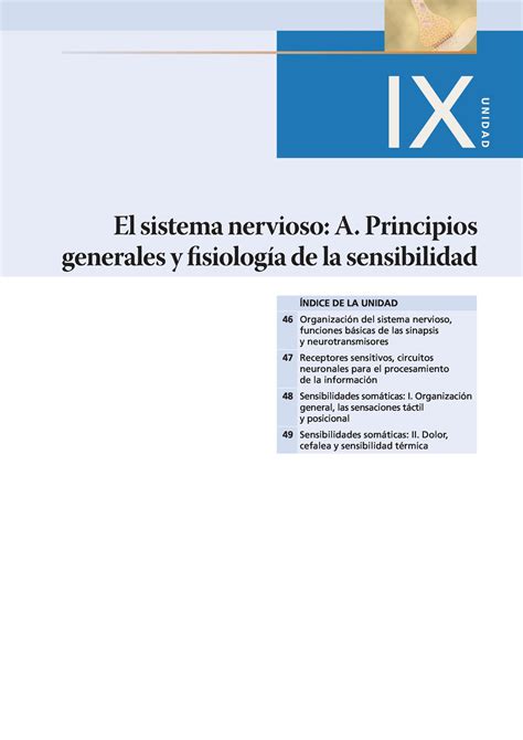 Neuro Fisiologia Ix Unidad Ndice De La Unidad Organizaci N Del