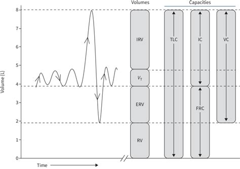 Static Lung Volumes And Capacities Based On A Volume Time Spirogram Of