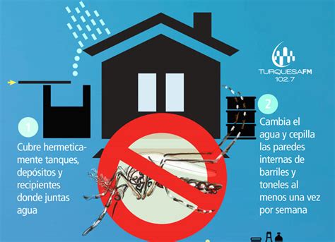 Consejos Para Evitar Los Criaderos De Mosquitos En Tu Casa Y Patio