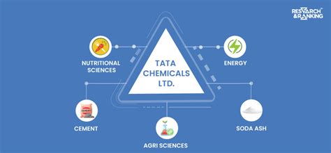 Tata Chemicals Share Price Fundamental Analysis