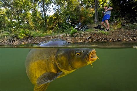 21+ Gambar Pemandangan Orang Mancing