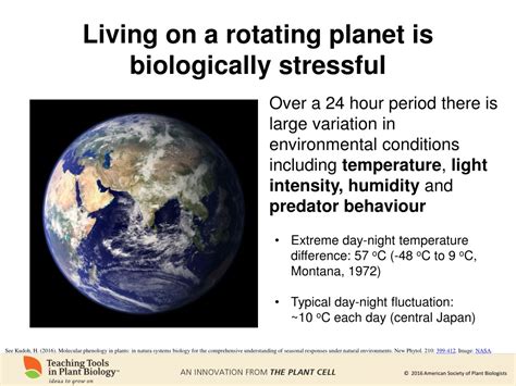 Ppt Rhythms Of Life The Plant Circadian Clock Powerpoint