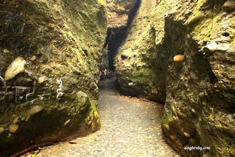 Robbers Cave Aka Guchhupani In Dehradun Life And Its Experiments
