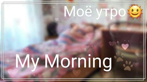 Моё Утро My Morning🐾🌞 Youtube