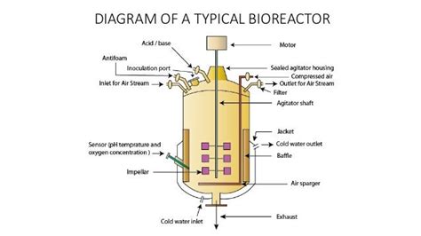 Bioreactor Types