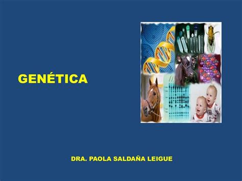 Tema 16 Genética Y Terminología Genética Horlhe Udocz