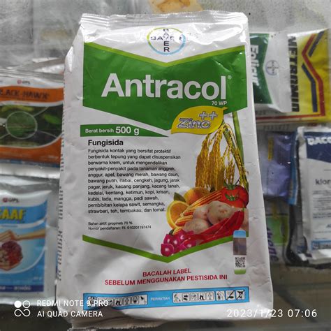 Fungisida Antracol Wp Zinc Gram Anti Hama Jamur Lazada Indonesia