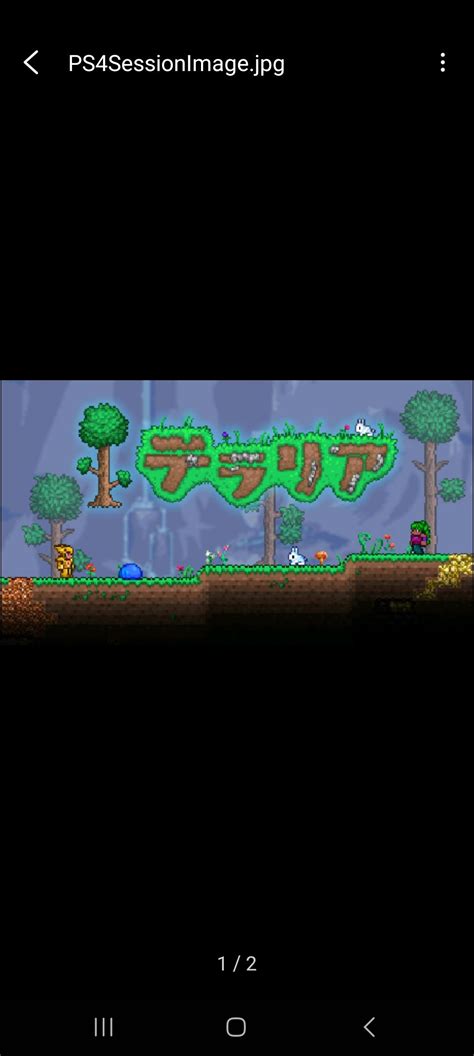 I was looking through Terraria Mobile files then I found this image ...