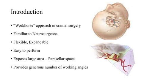 Pterional Craniotomy Ppt