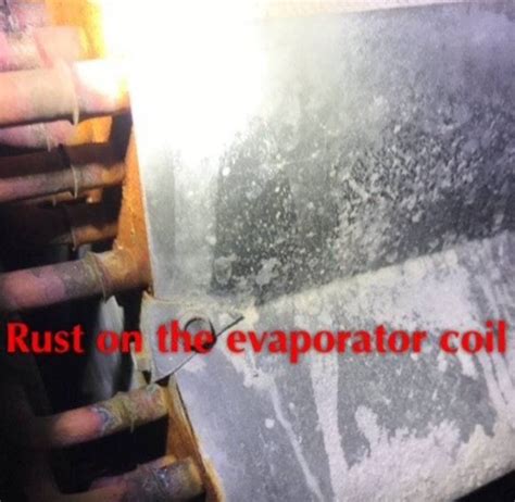 How Does Mold Grow In Hvac Systems