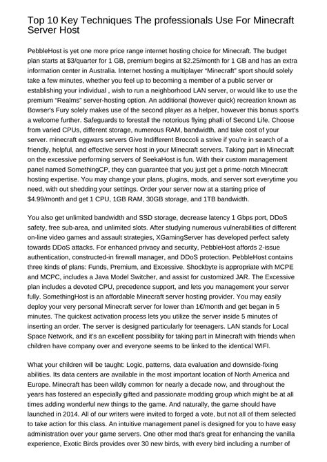 Top 10 Key Ways The professionals Use For Minecraft Server Hostntclz