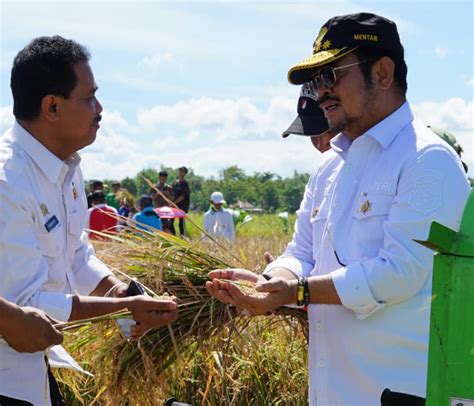 Klaten Panen Raya Padi IP400 Mentan SYL Bersyukur Segera Diperluas Ke