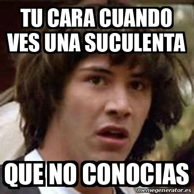 Meme Keanu Reeves Tu Cara Cuando Ves Una Suculenta Que No Conocias