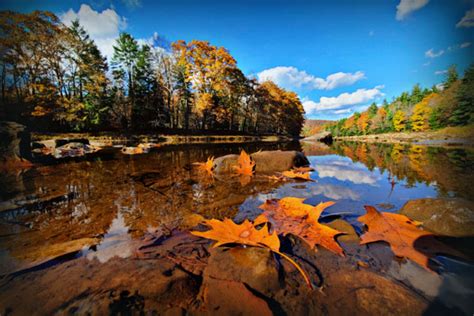 When And Where To View The Best Fall Foliage In Pa Pagetaway