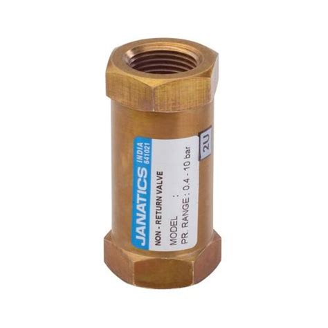 Buy JANATICS DN 10 Mm Actuator Brass Check Valves Threaded GV162 Online