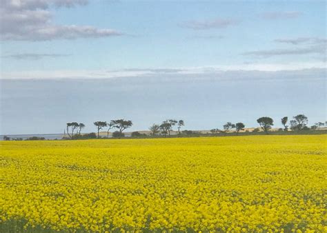 visit belford  travel guide  belford england expedia