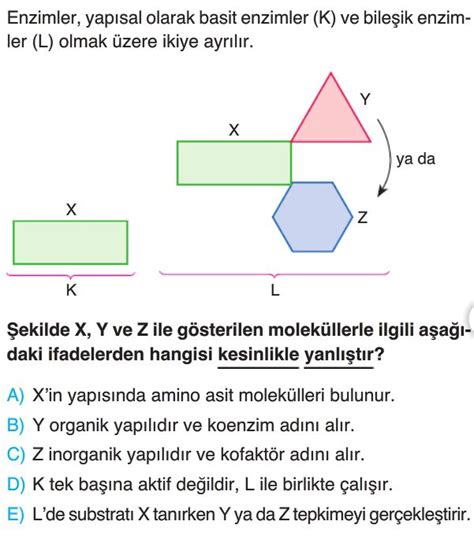 Enzimler Test Çöz 9 Sınıf Biyoloji Yeni Nesil Sorular