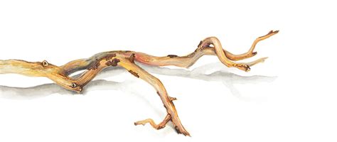 The Dying Alchemists One Tentacle Publishing