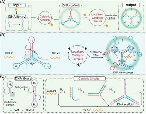 Principle Of The Lcc System For Hierarchical Assembly Of Dna