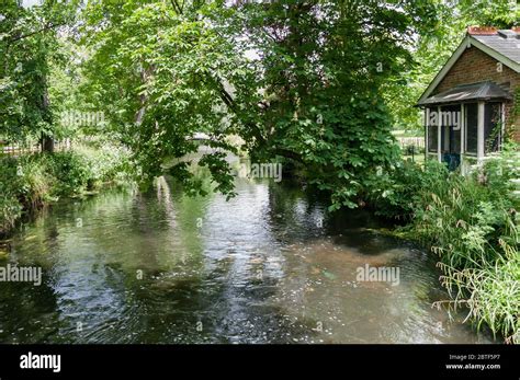 The River Wandle Meandering Through Shady Woodland At Morden Hall Park