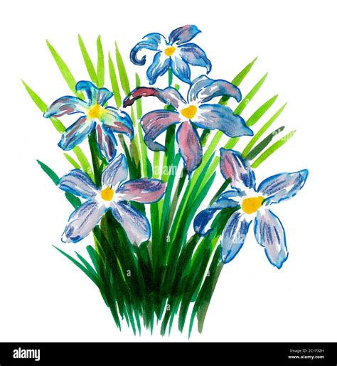 Bouquet Of Blue Flowers Watercolor Painting Stock Photo Alamy