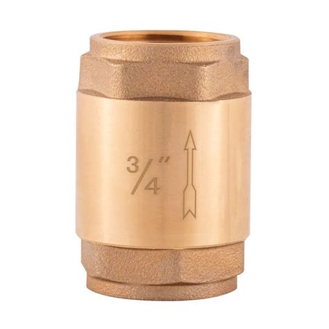 Ez Flo Brass In Line Check Valve 34 Inch Ips Stainless