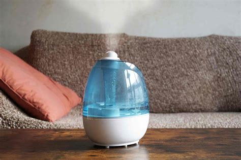 Best Large Room Humidifiers In Jasonbox Your Weather Guide