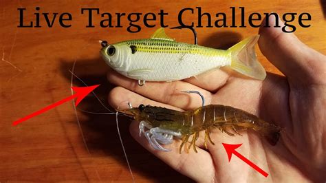 Live Target Lure Challenge Are They Worth It Youtube