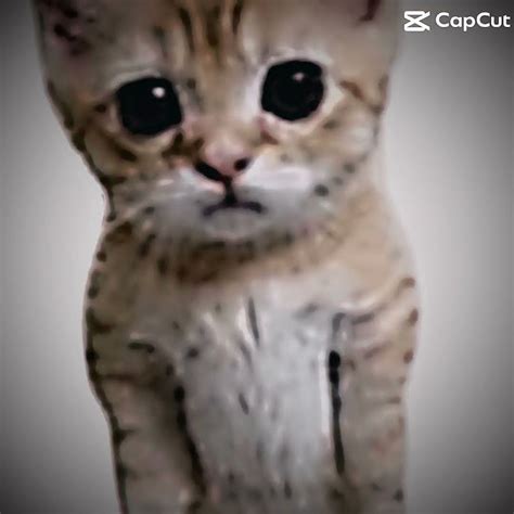 Elgato - YouTube