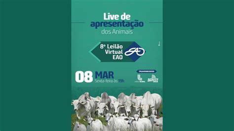 APRESENTACAO 8º LEILAO VIRTUAL EAO YouTube