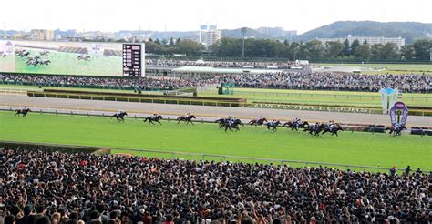 Jra、来週から観客入場再開 224日ぶり競馬場に歓声が戻ってくる ひよこ★