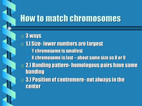 Determining Sex Sex Chromosomes Determine Sex Males Have An X And A Y Ppt Download